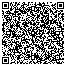 QR code with Professional Info Netwrk contacts