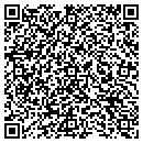 QR code with Colonial Plastic Inc contacts
