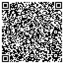 QR code with Bassettaire Farm LLC contacts