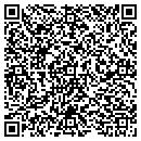 QR code with Pulaski Police Chief contacts