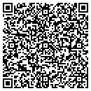 QR code with Pt Marine & Rv contacts