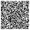 QR code with Pcwear contacts