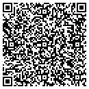 QR code with Cybernautics contacts