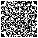 QR code with Premier Car Care LLC contacts
