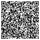 QR code with Blue Maple Networks contacts
