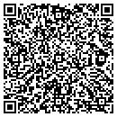 QR code with Premier Metaltech Corp contacts
