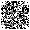 QR code with Blue Ridge Auto Glass contacts