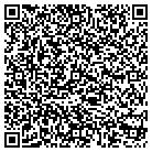 QR code with Professional Tire & Wheel contacts