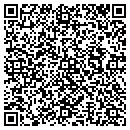 QR code with Professional Awards contacts