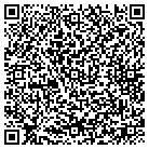 QR code with Premier Auto and RV contacts