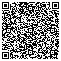 QR code with Dolce contacts