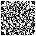 QR code with Newport contacts