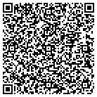 QR code with Terrazos Pico Inc contacts