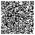 QR code with P M CO contacts