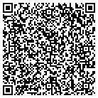 QR code with Pulse Industries Corp contacts