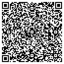QR code with Princess Design Inc contacts