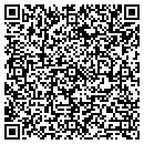 QR code with Pro Auto Craft contacts