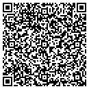 QR code with Premiere Realty contacts