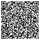 QR code with Crystal Art Gallery contacts