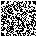 QR code with Cameron Solutions Inc contacts