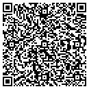 QR code with Blaytondales contacts