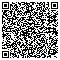 QR code with Taconic contacts