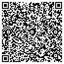 QR code with Professional Linings contacts