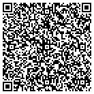 QR code with Cinetech Solutions Inc contacts