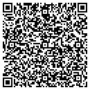 QR code with Pyramid Sim Stone contacts