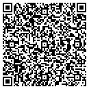 QR code with Purswitch Co contacts