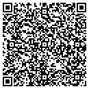 QR code with Pyramid Wireless 2 contacts