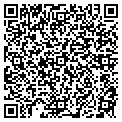 QR code with AM Pine contacts