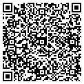 QR code with IBEW contacts