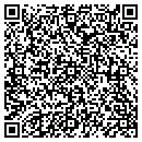QR code with Press and Play contacts