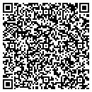 QR code with Primary Mold contacts