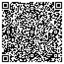 QR code with Premier Systems contacts