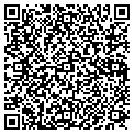 QR code with Museums contacts