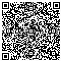 QR code with Renovo contacts