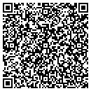 QR code with City Wok Restaurant contacts