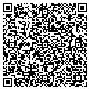 QR code with Pro Systems contacts
