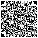 QR code with Premier Valley Homes contacts