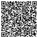 QR code with Teal 3 contacts