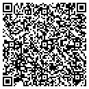 QR code with Professional Concepts contacts