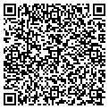QR code with Angil contacts