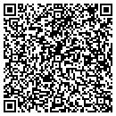 QR code with Pyramid Inspection Co contacts