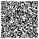 QR code with Premier Audio Video contacts