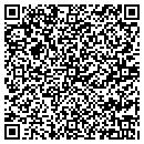 QR code with Capitol Electric Inc contacts