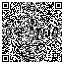 QR code with County Of Buena Vista contacts