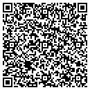 QR code with Put In Bay Electric contacts