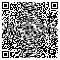 QR code with Tnb Inc contacts